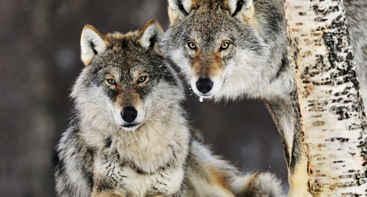 Blog List Featured Image