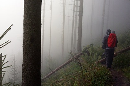 Blog List Featured Image