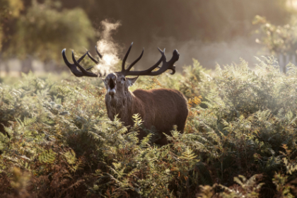 Blog List Featured Image