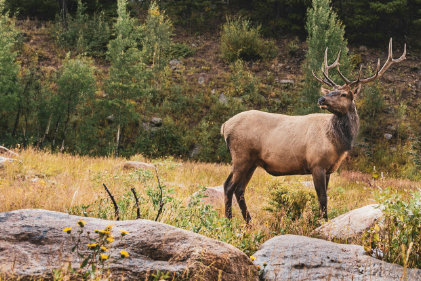 Blog List Featured Image