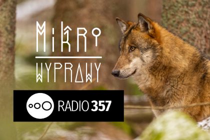 Blog List Featured Image