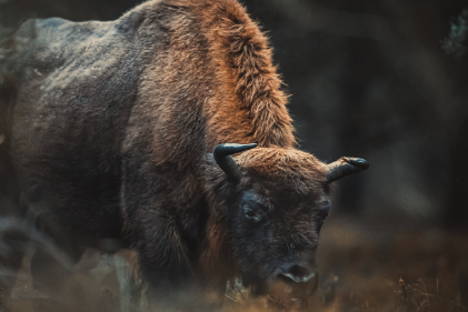 Blog List Featured Image