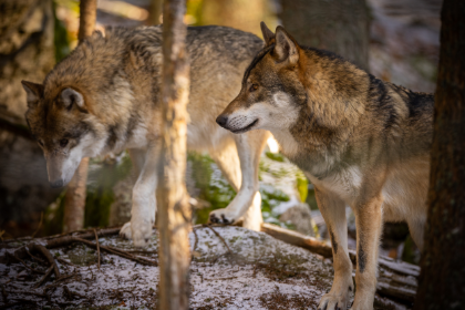 Blog List Featured Image