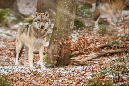 Blog List Featured Image