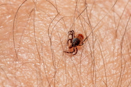 Blog List Featured Image