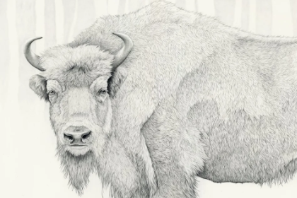 Blog List Featured Image